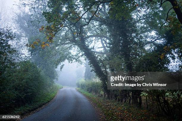 misty rural road - überhängend stock-fotos und bilder