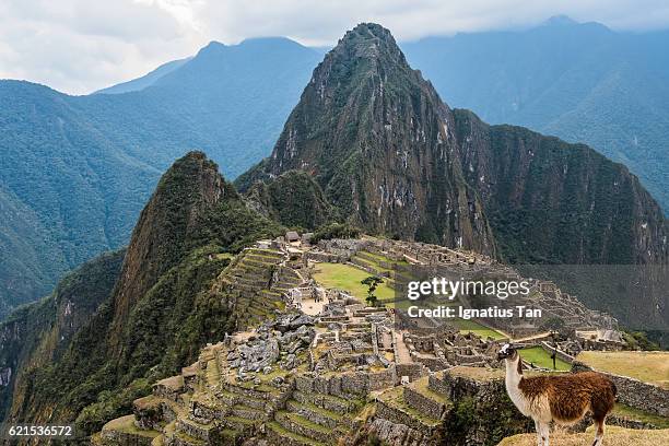 machu picchu, peru - ignatius tan stockfoto's en -beelden