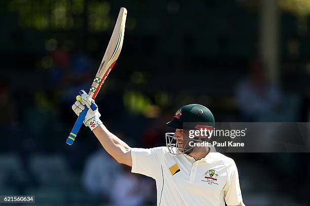 Peter Nevill of Australia celebrates his half century during day five of the First Test match between Australia and South Africa at the WACA on...