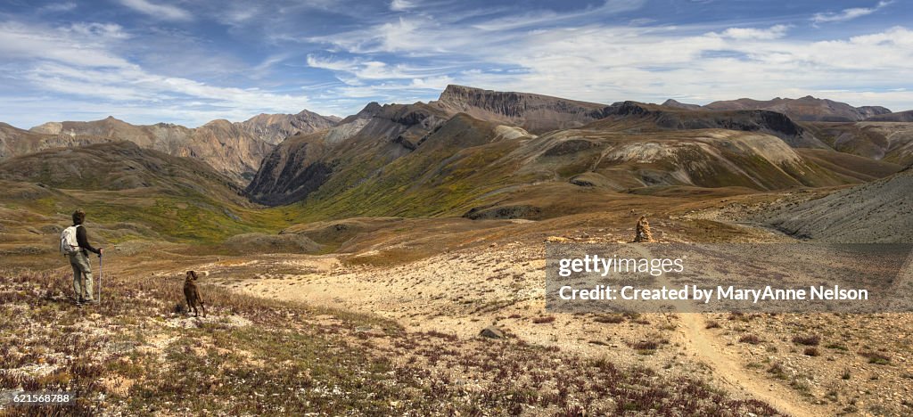 Dog and Hiker by Continental Divide Trail Mountain Panorama