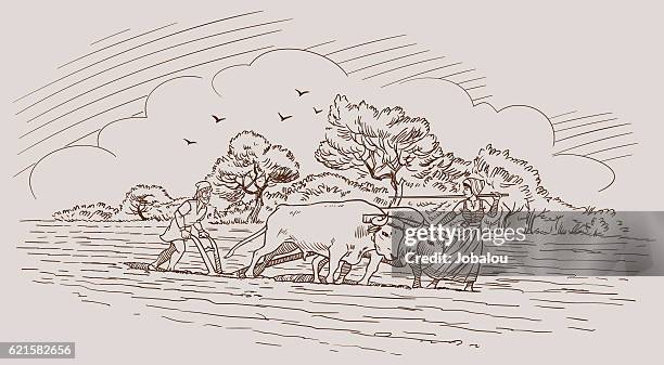 bildbanksillustrationer, clip art samt tecknat material och ikoner med medieval scene with couple plowing field - plöjd åker