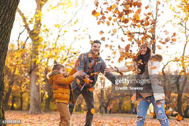 family playing in autumn leaves - throwing leaves stock pictures, royalty-free photos & images