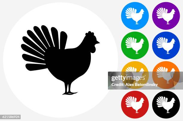 chicken icon on flat color circle buttons - rooster isolated stock illustrations