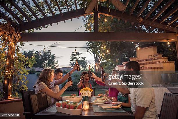 hipsters toasting at a summer backyard bbq - gazebo stock pictures, royalty-free photos & images