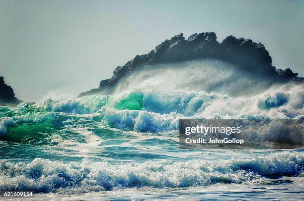 surf  - onda di marea foto e immagini stock