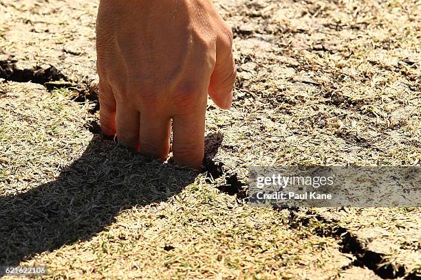 An umpire inspects cracks in the pitch before start of play during day five of the First Test match between Australia and South Africa at the WACA on...