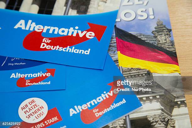 Flyers of the right-wing, populist party Alternative fuer Deutschland are pictured prior to a news conference to present its donation campaign in...