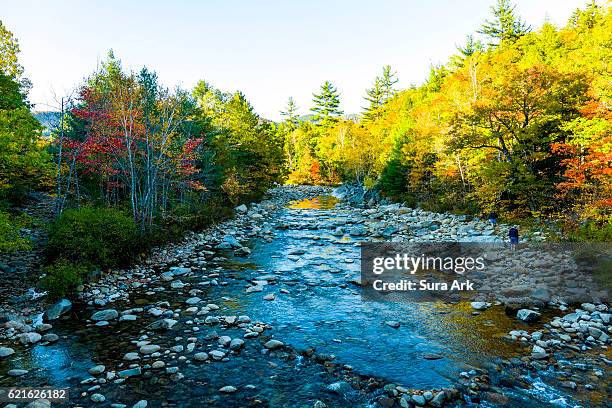 white mountain national forest, lincoln, new hampshire. - deer river new hampshire stock pictures, royalty-free photos & images
