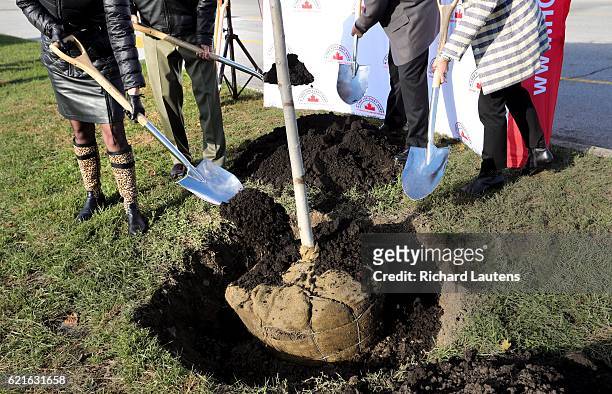 Planting the ceremonial tree left to right are: Ann Buller , Scarborough MP John McKay, Mark Cullen and Scarborough MPP Soo Wong. The Highway of...