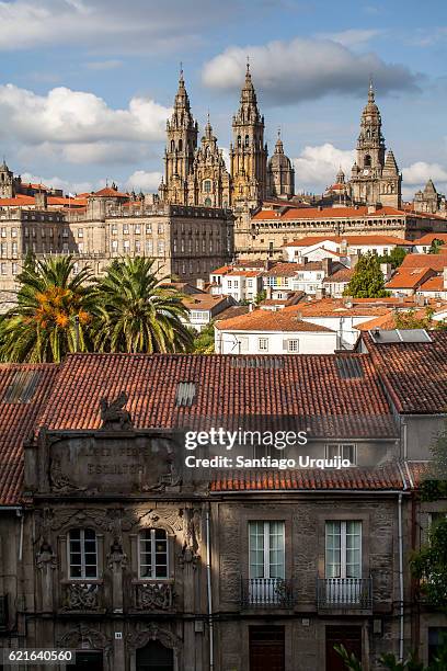 santiago de compostela skyline with cathedral on background - santiago de compostela fotografías e imágenes de stock