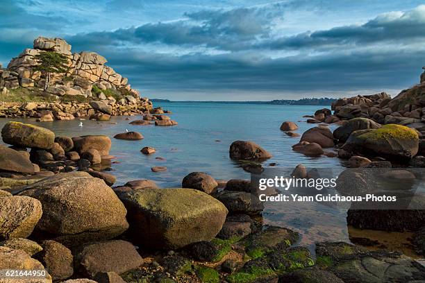 france,brittany,cotes d'armor, the pink granit coastline  at ploumanach, commune of perros guirec - perros guirec stock pictures, royalty-free photos & images