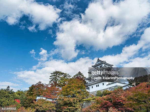 japanese castle on an autumn day - gifu prefecture stock pictures, royalty-free photos & images