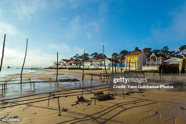 oyster farming,les jacquets, lege cap ferret, bay of arcachon, gironde, france - atlantikküste frankreich stock-fotos und bilder