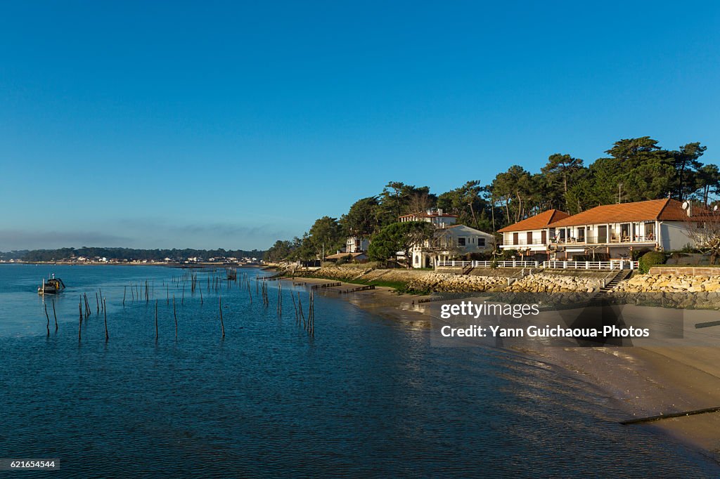 Oyster farming,Les Jacquets, Lege Cap Ferret, Bay of Arcachon, Gironde, France