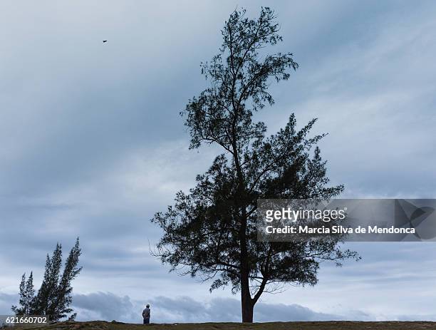 "trees and a lonely man, in saquarema" - arbusto stock-fotos und bilder