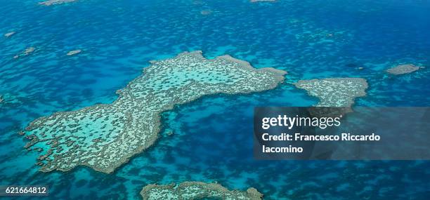 great barrier reef, australia - recife heart imagens e fotografias de stock