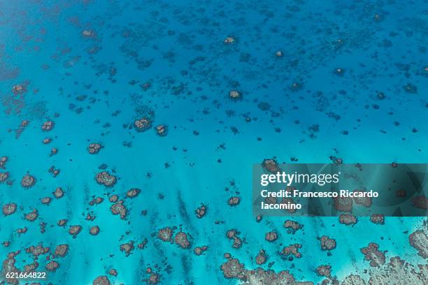 great barrier reef, australia - recife heart imagens e fotografias de stock