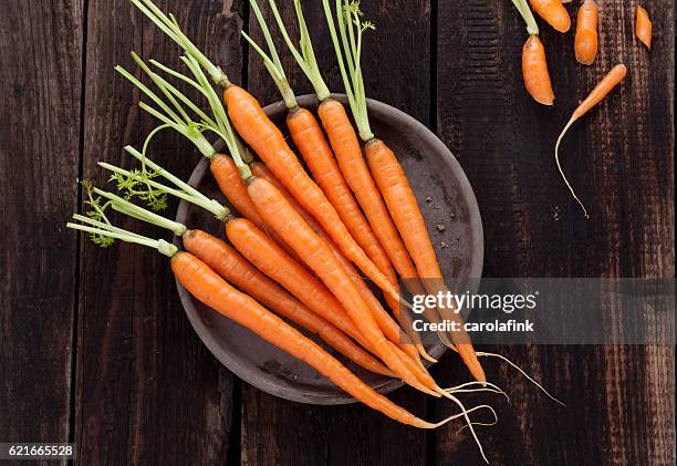 carrots - möhre stock-fotos und bilder