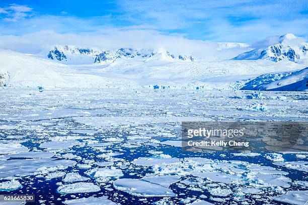 antarctica peninsula, pleneau island - ice sheet stock pictures, royalty-free photos & images
