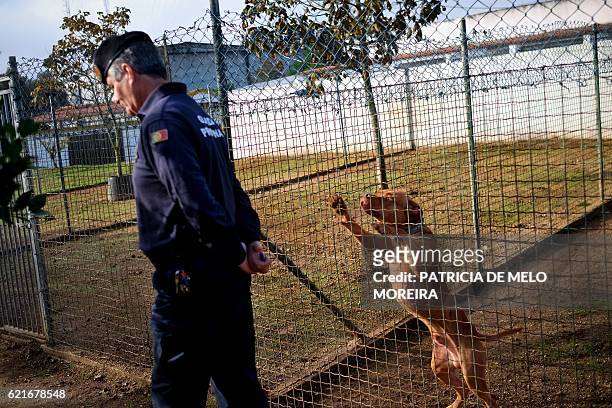Prison guard at the high security prison of Monsanto walks past a dog at the prison's dog kennel in Lisbon on October 24, 2016. The Monsanto prison,...