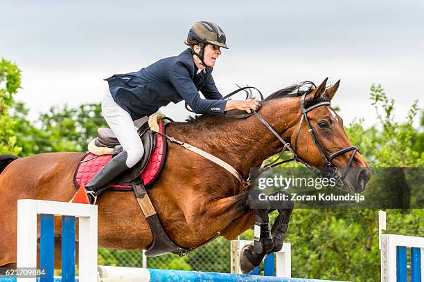 show jumping - horse with rider jumping over hurdle - hindernisrace paardenrennen stockfoto's en -beelden