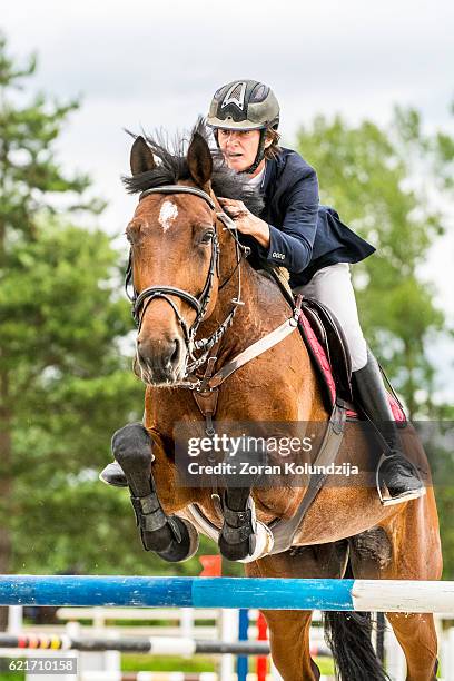 mostrar saltos de caballo con rider salto over hurdle - concurso de saltos ecuestres fotografías e imágenes de stock