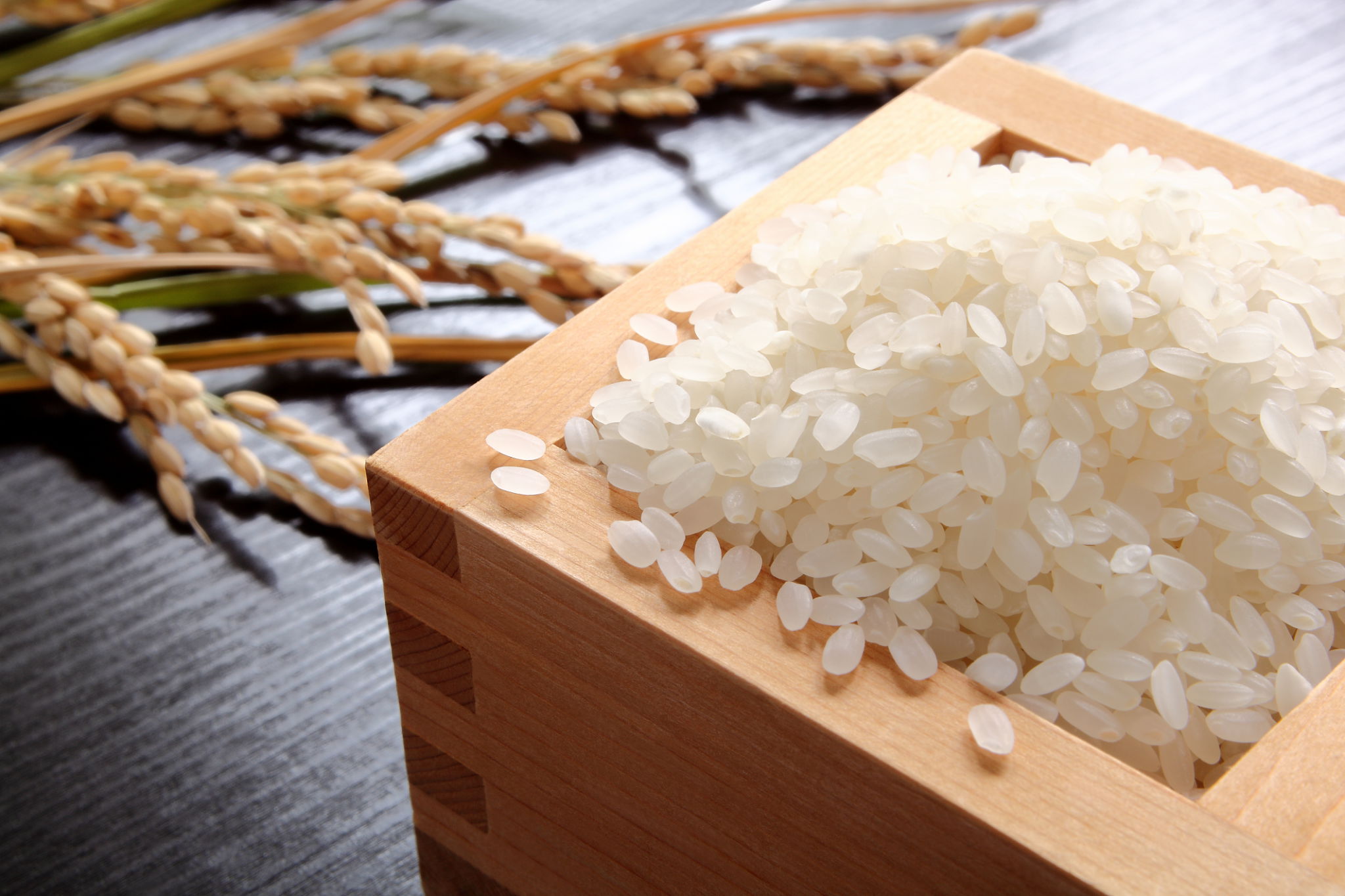 ingredients for sushi