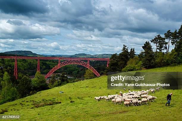 the garabit viaduct by gustave eiffel, cantal, france - viadotto foto e immagini stock