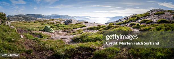 camping in preikestolen - norway national day 2016 stock pictures, royalty-free photos & images