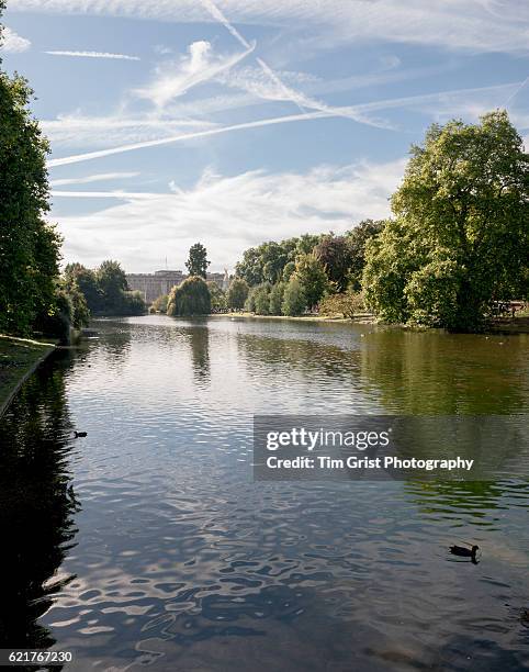 st james park lake, london - buckingham palace building stock pictures, royalty-free photos & images