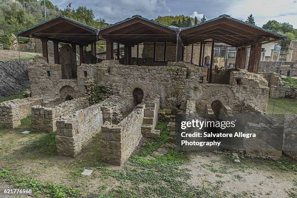 villa romana del casale and mosaics - mosaico stockfoto's en -beelden