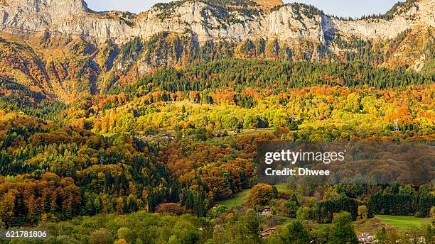 autumn colors in french alps, haute-savoie - temperate forest stock pictures, royalty-free photos & images