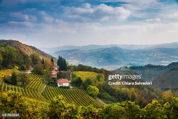 the langhe country in autumn, italy - piedmont italy stockfoto's en -beelden