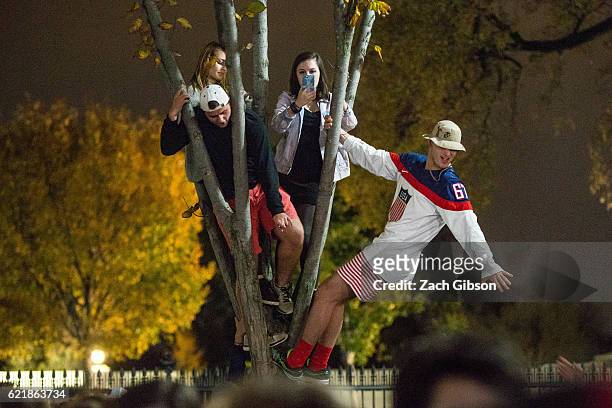 Donald Trump supporters climb a tree while celebrating in front of The White House while waiting for 2016 election return updates on November 9, 2016...