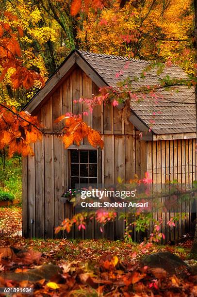 small cabin in autumn - abrigo rosa imagens e fotografias de stock