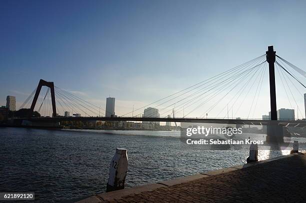 willemsbrug in the sun, quay, rotterdam, the netherlands - nieuwe maas river stock pictures, royalty-free photos & images