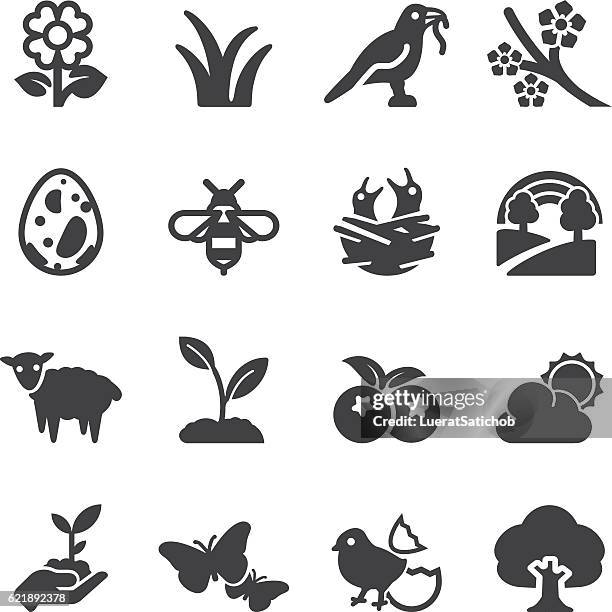 spring silhouette icons | eps10 - birds nest stock illustrations