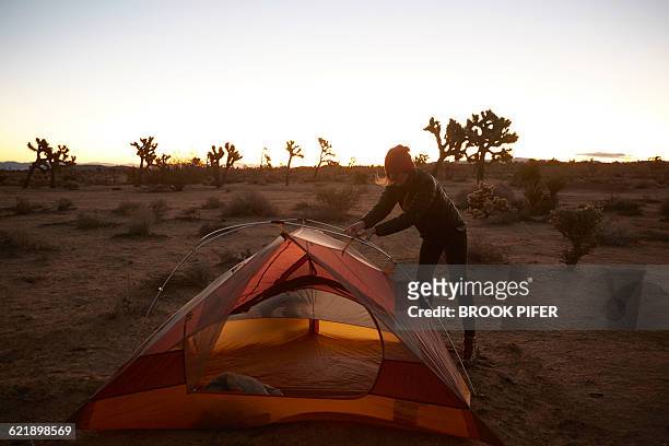 young woman pitching tent - brook steppe photos et images de collection