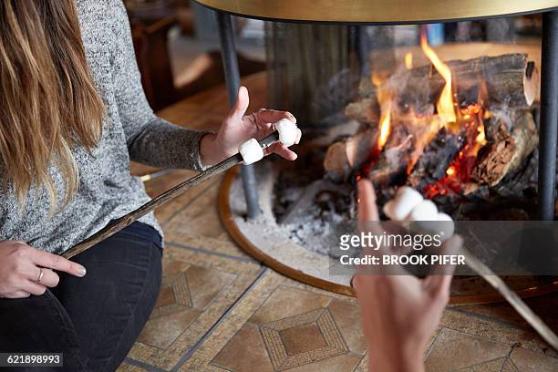 two hip young women in cabin roasting smores - log cabin fire stock pictures, royalty-free photos & images