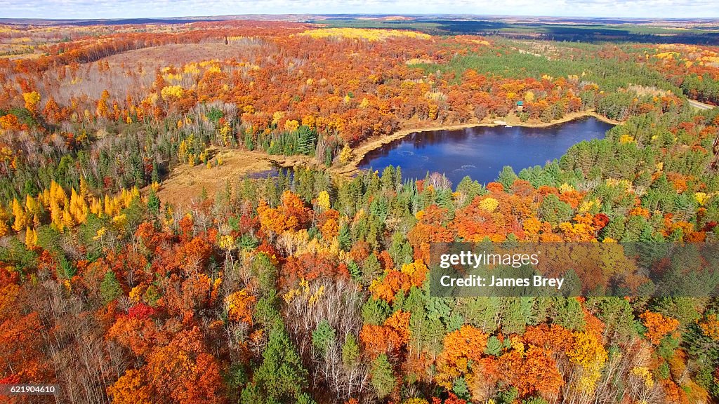 Amazing Autumn scenery, forests with lake, Fall colors, Aerial view