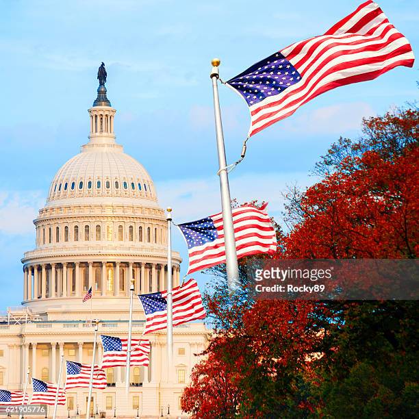the us capitol in washington d.c., usa, at sunset - washington dc stock pictures, royalty-free photos & images