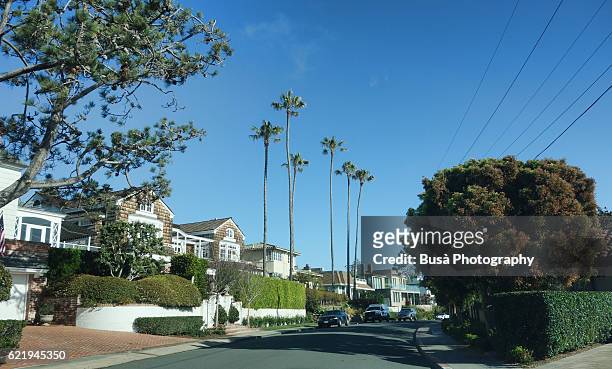 residential street in la jolla, near san diego, california, united states - california fan palm tree stock pictures, royalty-free photos & images