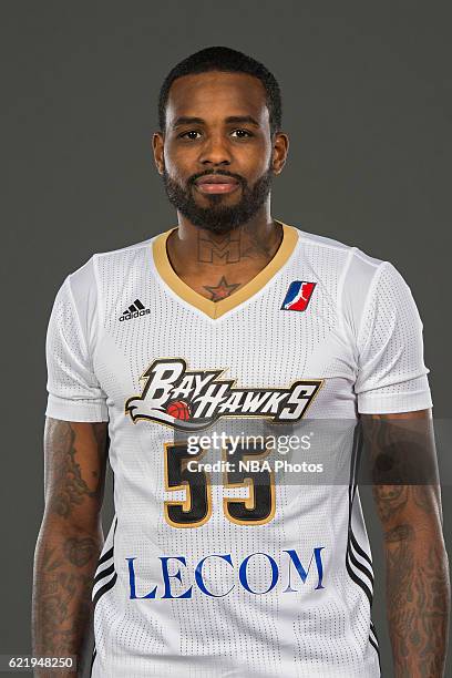 277 Erie Bayhawks Portrait Stock Photos, High-Res Pictures, and Images ...