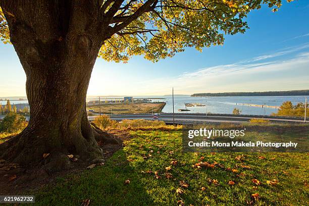 water view in everett, washington, over the west marine view drive - everett stock-fotos und bilder