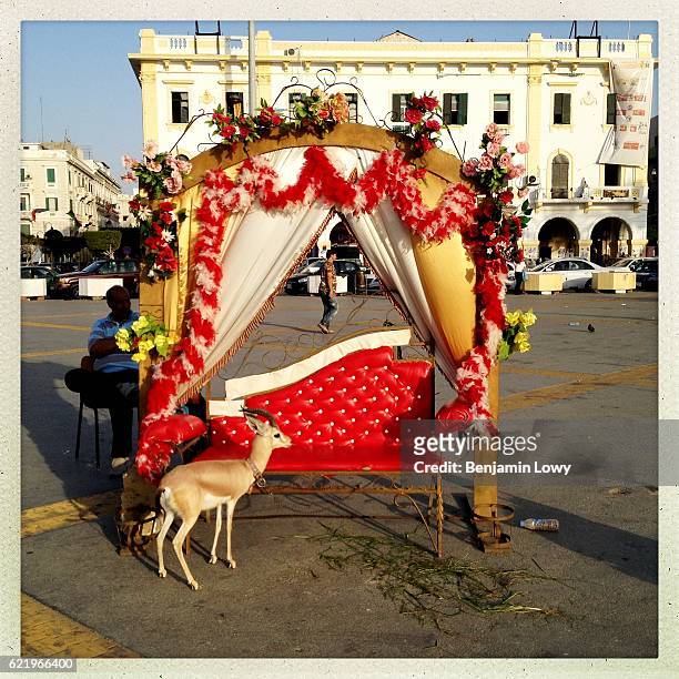 Photography stand, where families can pose on a couch with a live fawn, is erected and open for business in the newly renamed Martyrs Square in the...