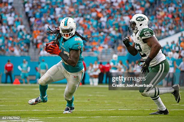 Marqueis Gray of the Miami Dolphins is pursued by David Harris of the New York Jets as he runs with the ball on November 6, 2016 at Hard Rock Stadium...