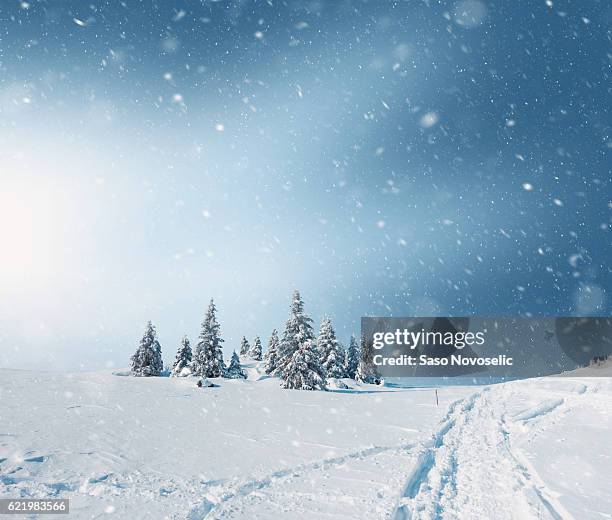 snowy landscape - snow falling stockfoto's en -beelden