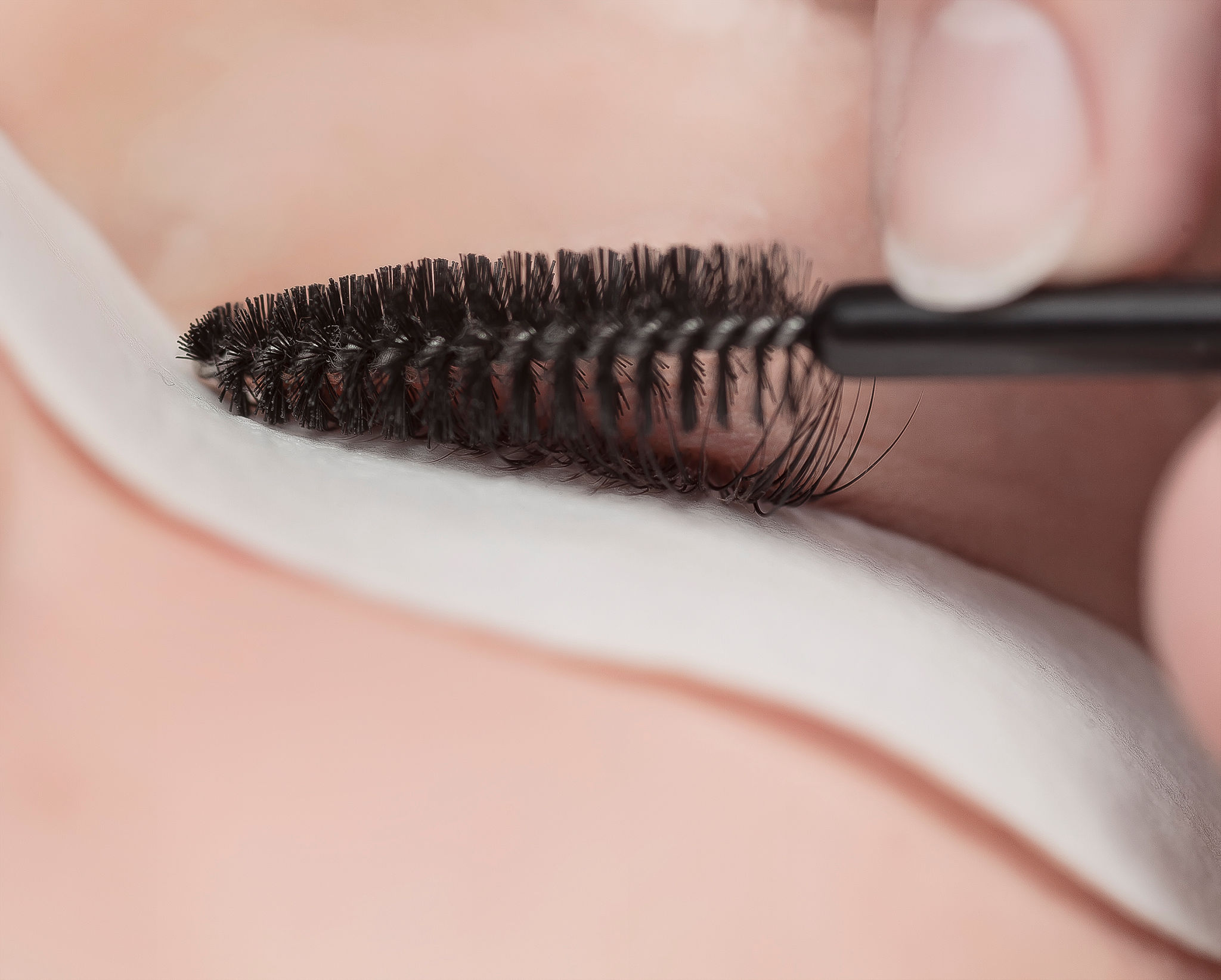 lash refill