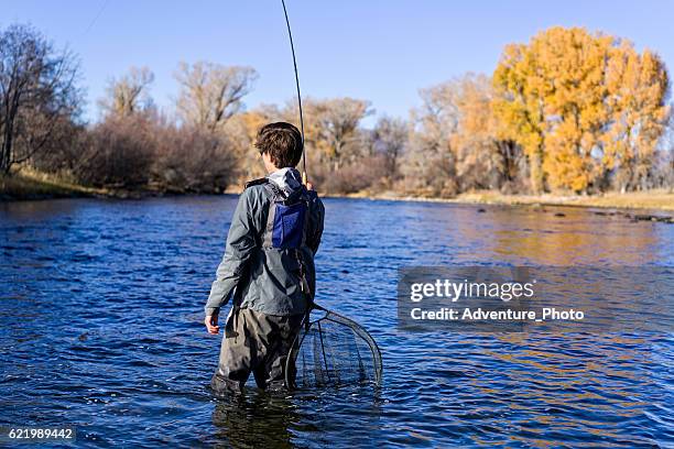 fly fisherman with fish on rod - gypsum stock pictures, royalty-free photos & images