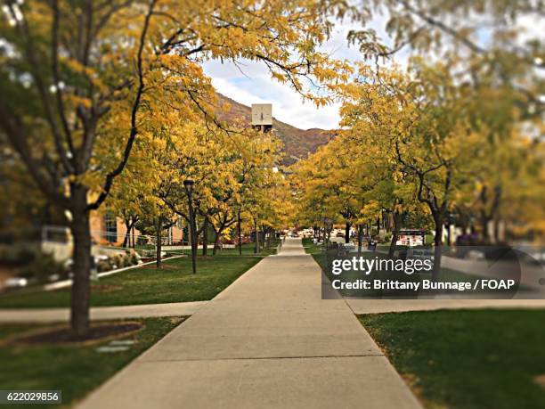 footpath at college campus - ogden utah stock pictures, royalty-free photos & images